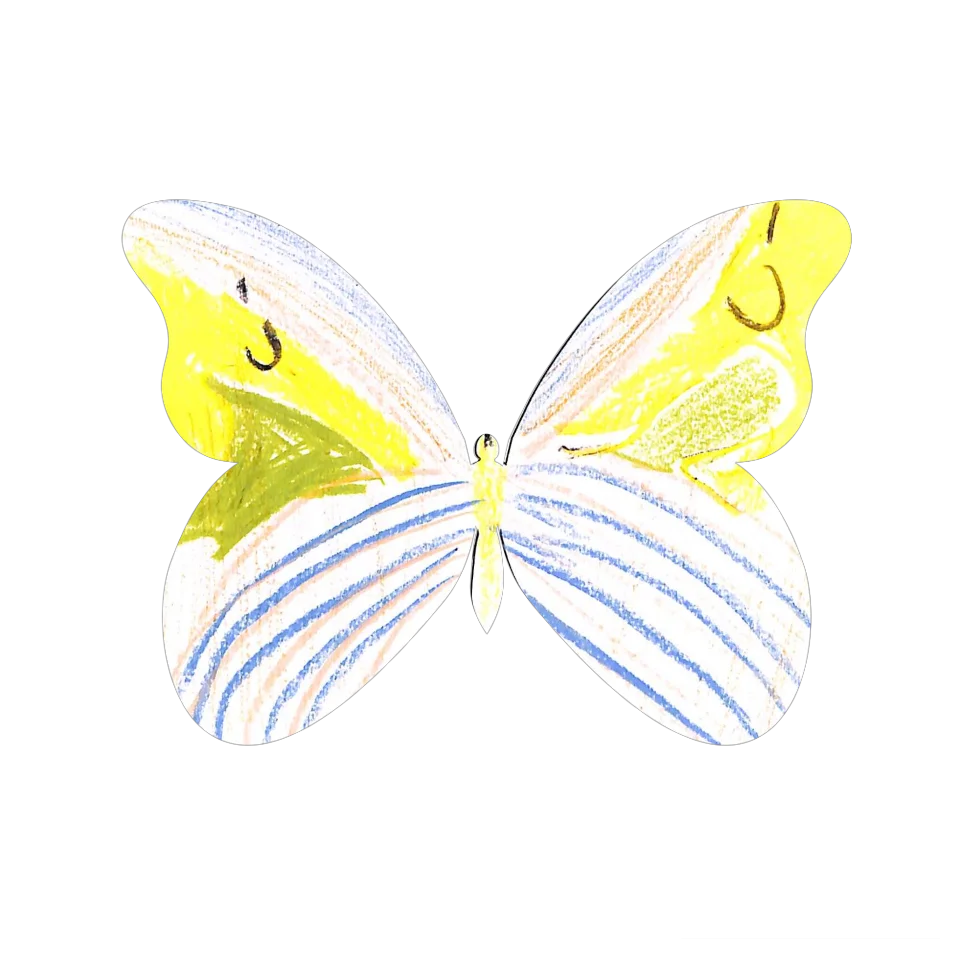 Original Butterfly Image