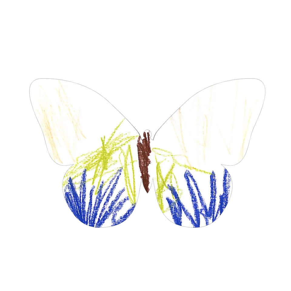 Original Butterfly Image