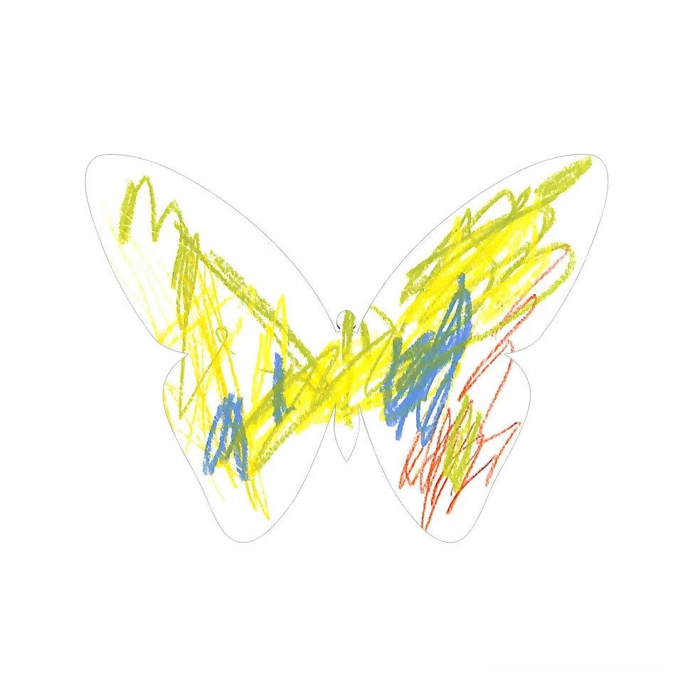 Original Butterfly Image