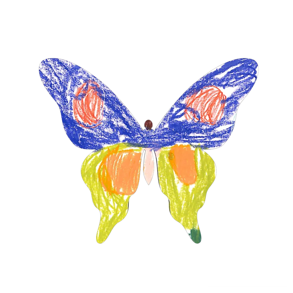 Original Butterfly Image