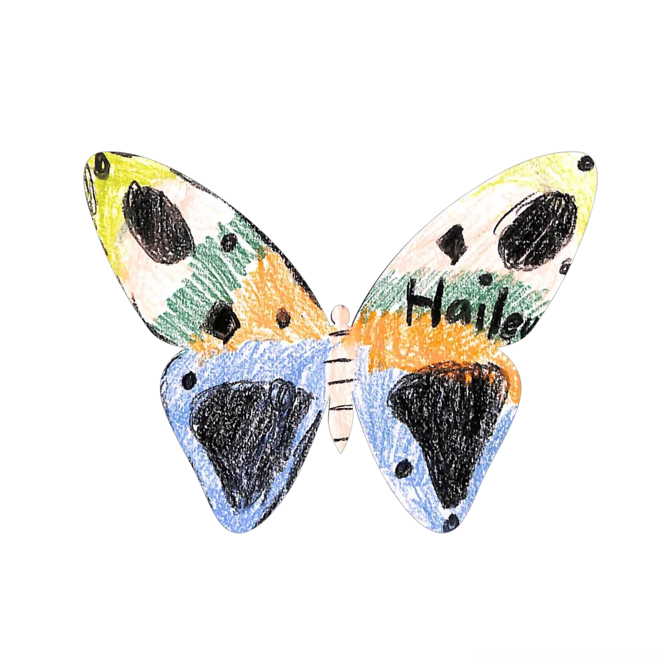 Original Butterfly Image