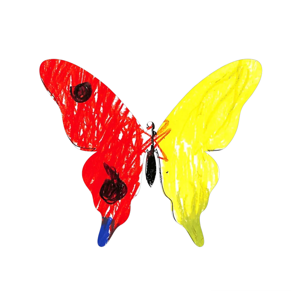 Original Butterfly Image