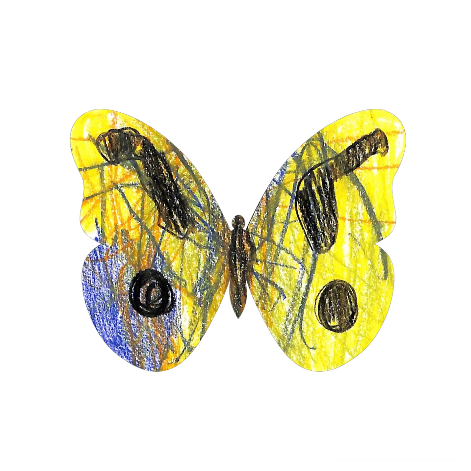 Original Butterfly Image