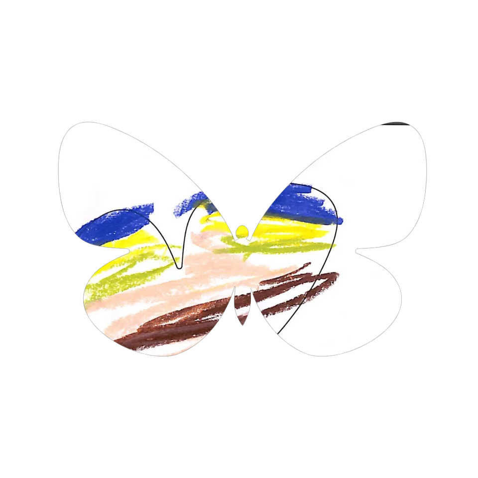 Original Butterfly Image