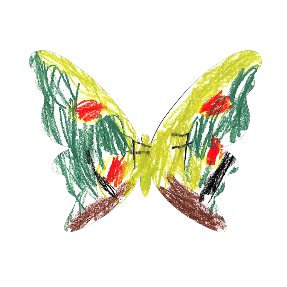 Original Butterfly Image