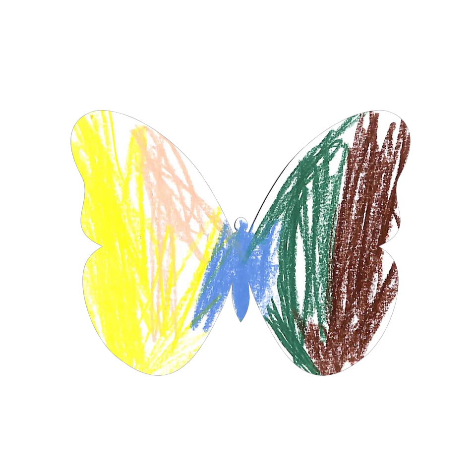 Original Butterfly Image