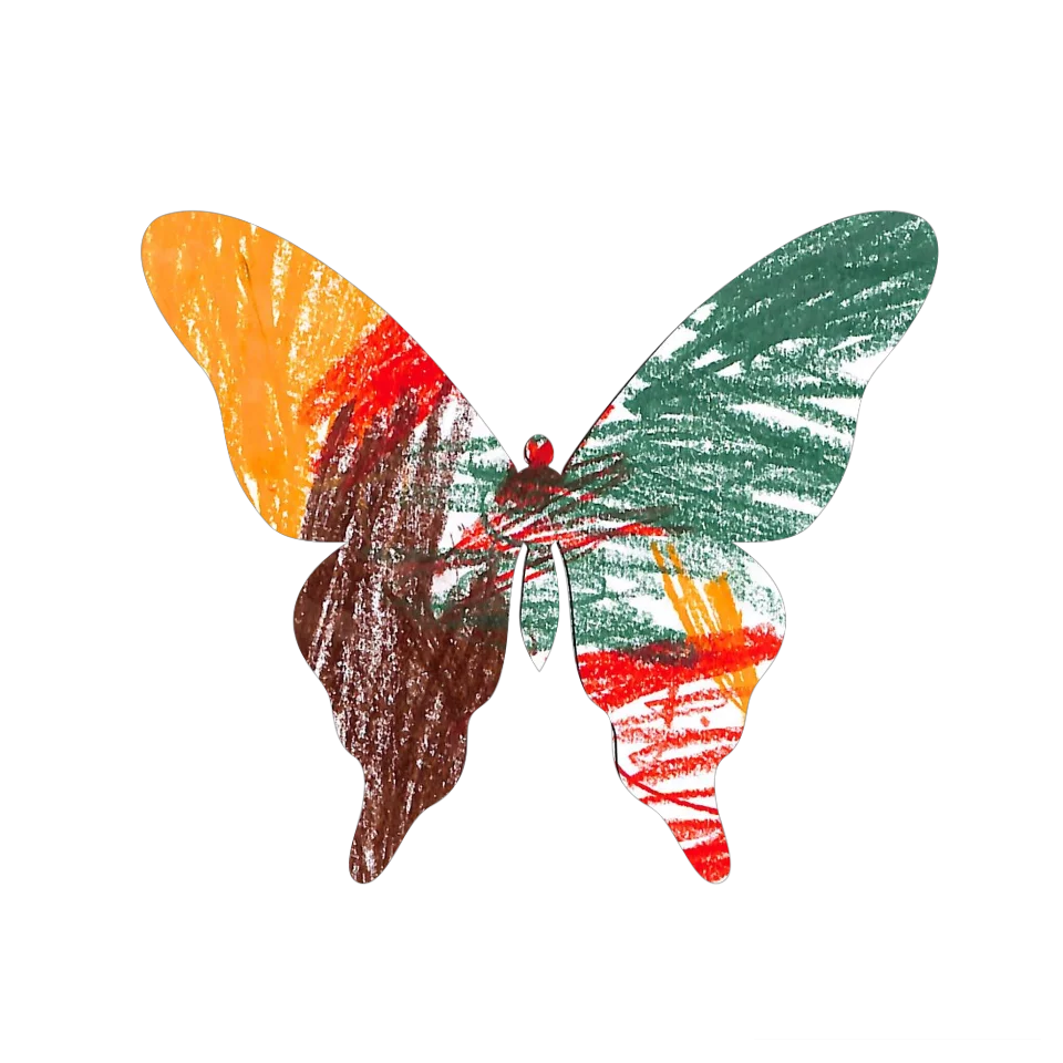 Original Butterfly Image