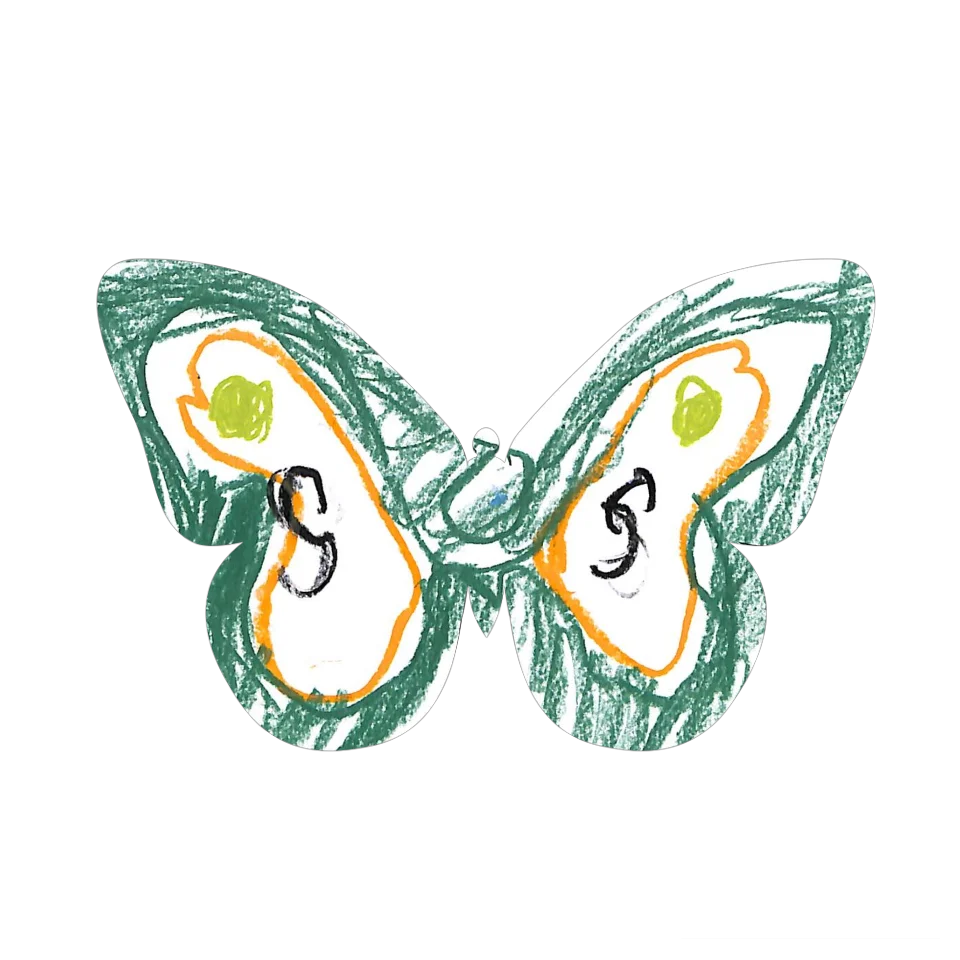 Original Butterfly Image