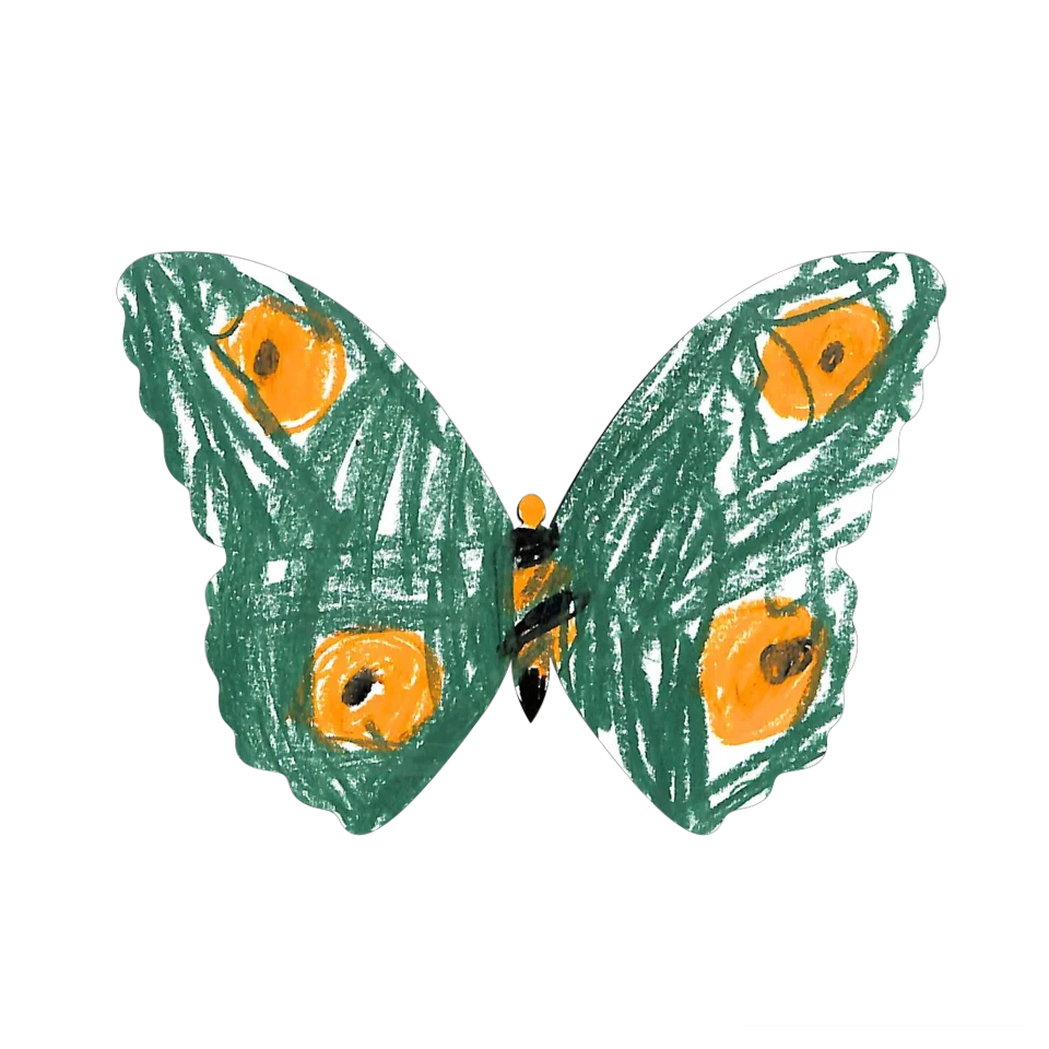 Original Butterfly Image