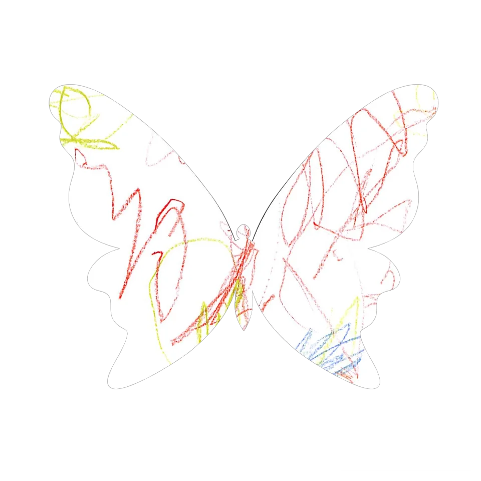 Original Butterfly Image