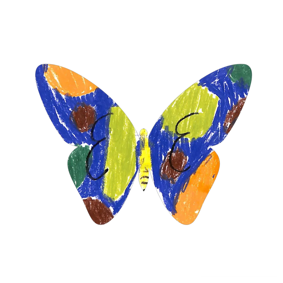 Original Butterfly Image