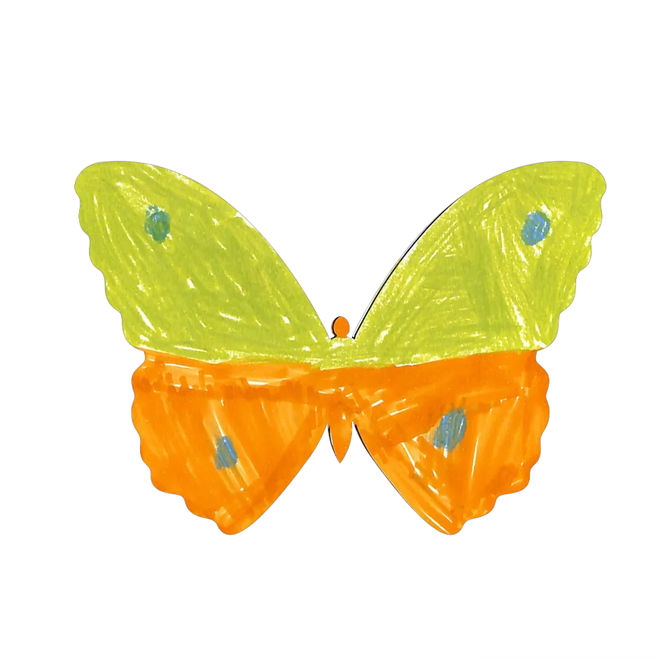 Original Butterfly Image