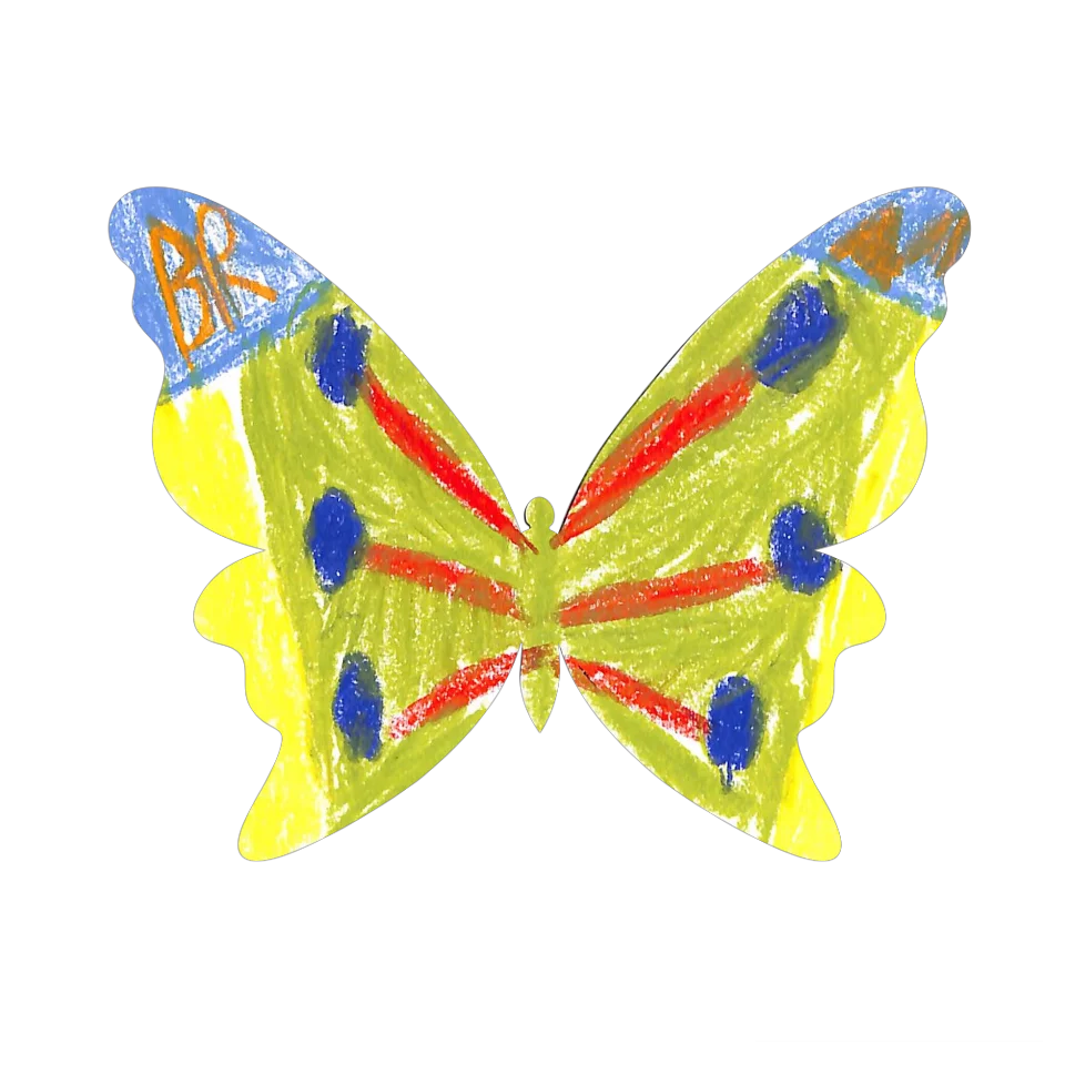 Original Butterfly Image