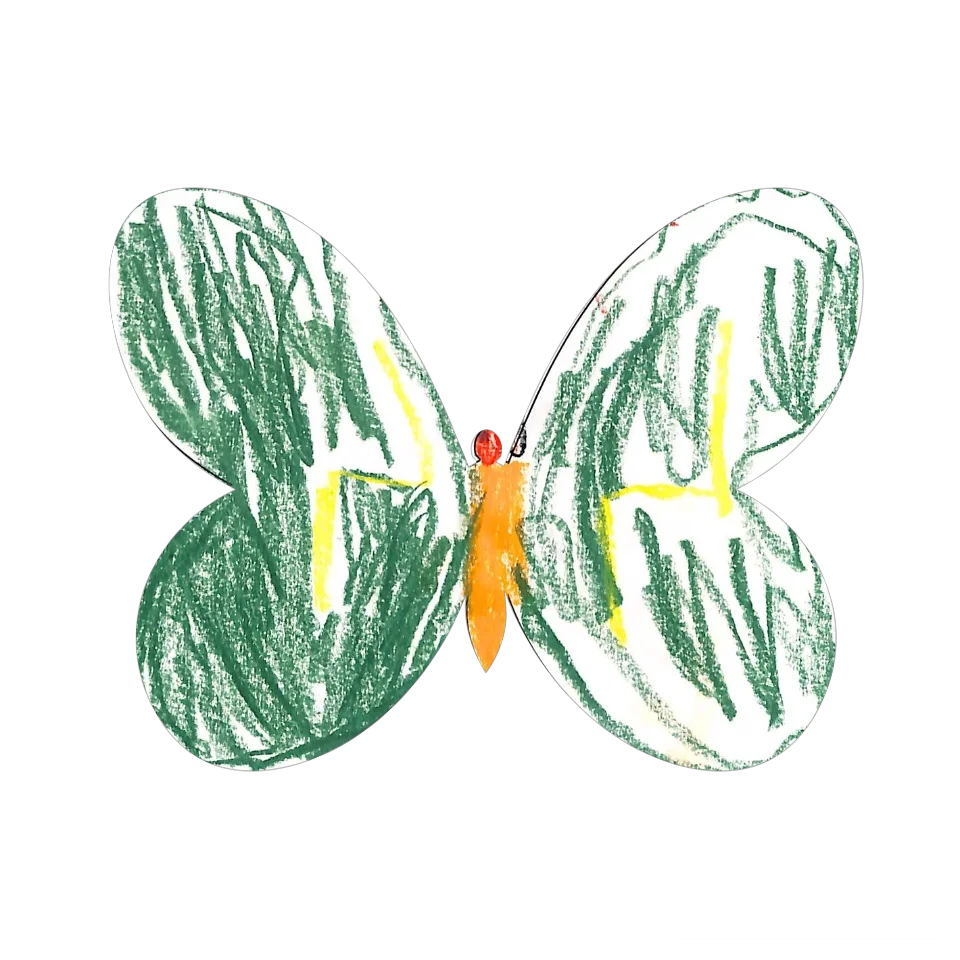 Original Butterfly Image