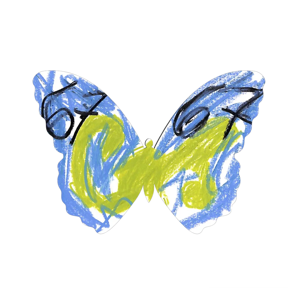 Original Butterfly Image