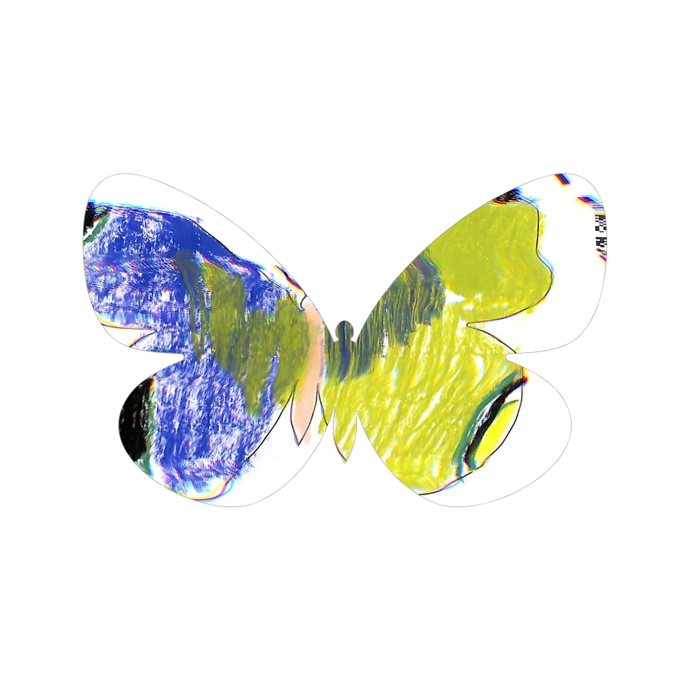 Original Butterfly Image