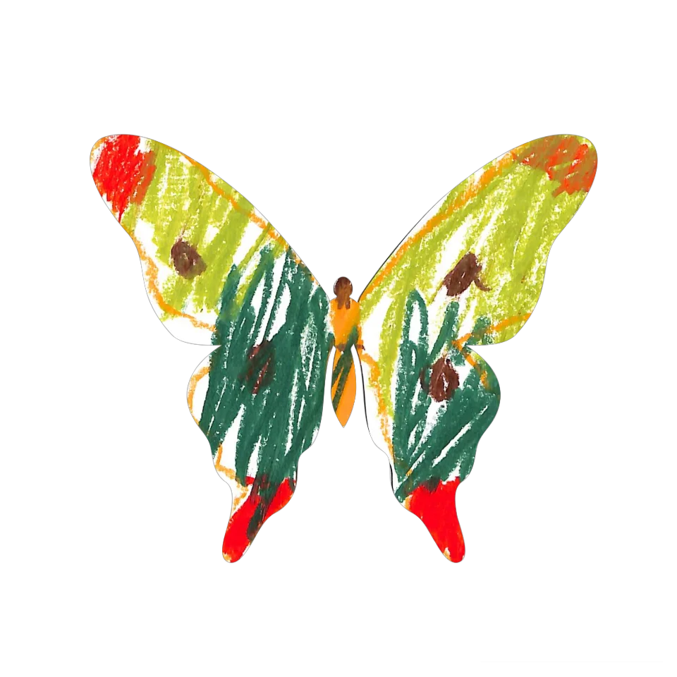 Original Butterfly Image