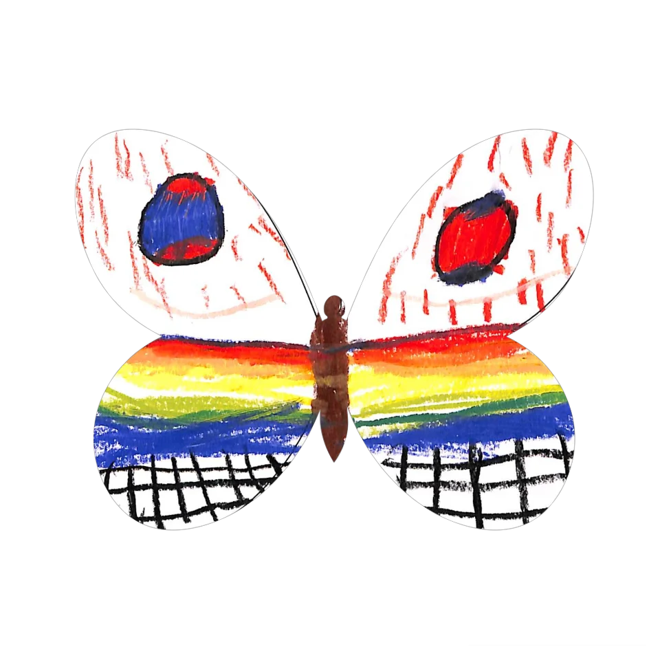 Original Butterfly Image
