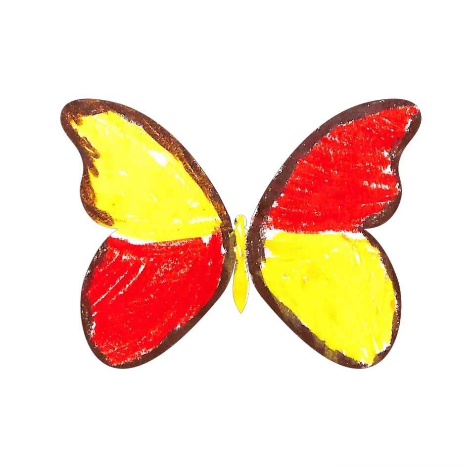 Original Butterfly Image