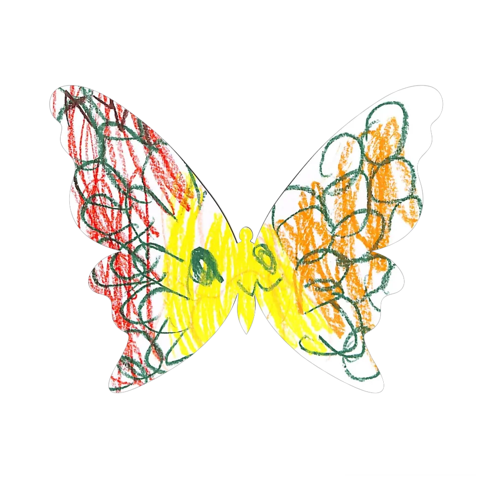 Original Butterfly Image