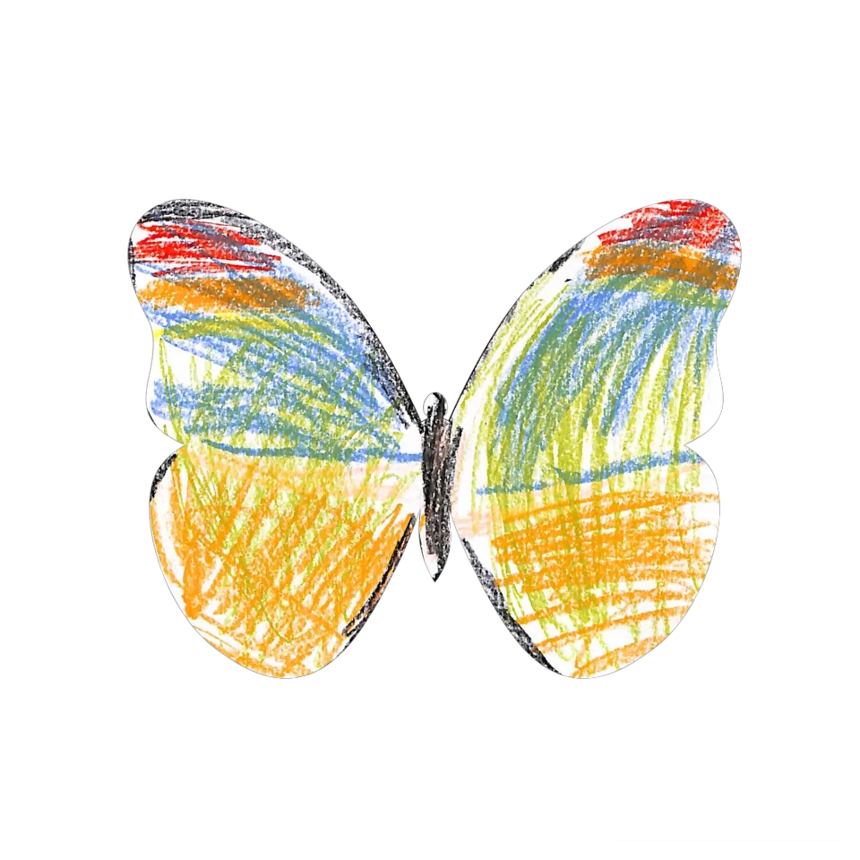 Original Butterfly Image