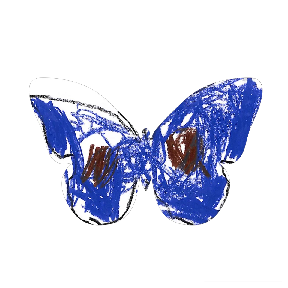 Original Butterfly Image