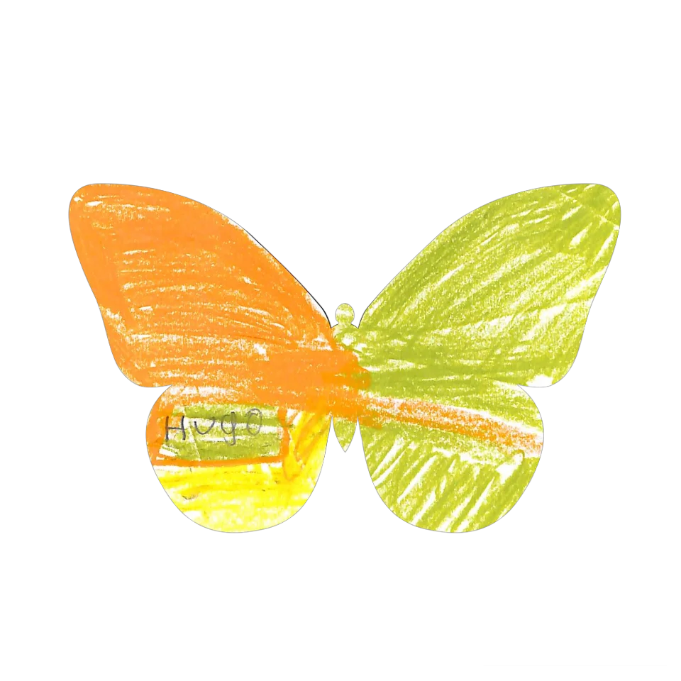 Original Butterfly Image