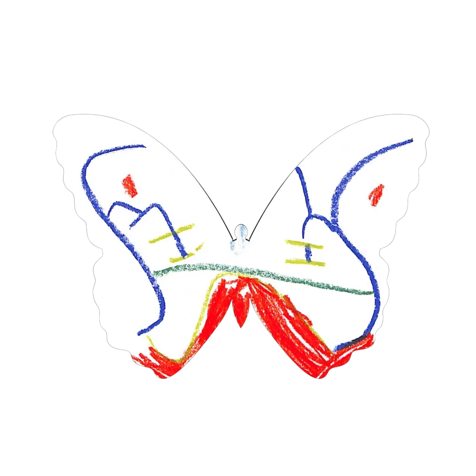 Original Butterfly Image
