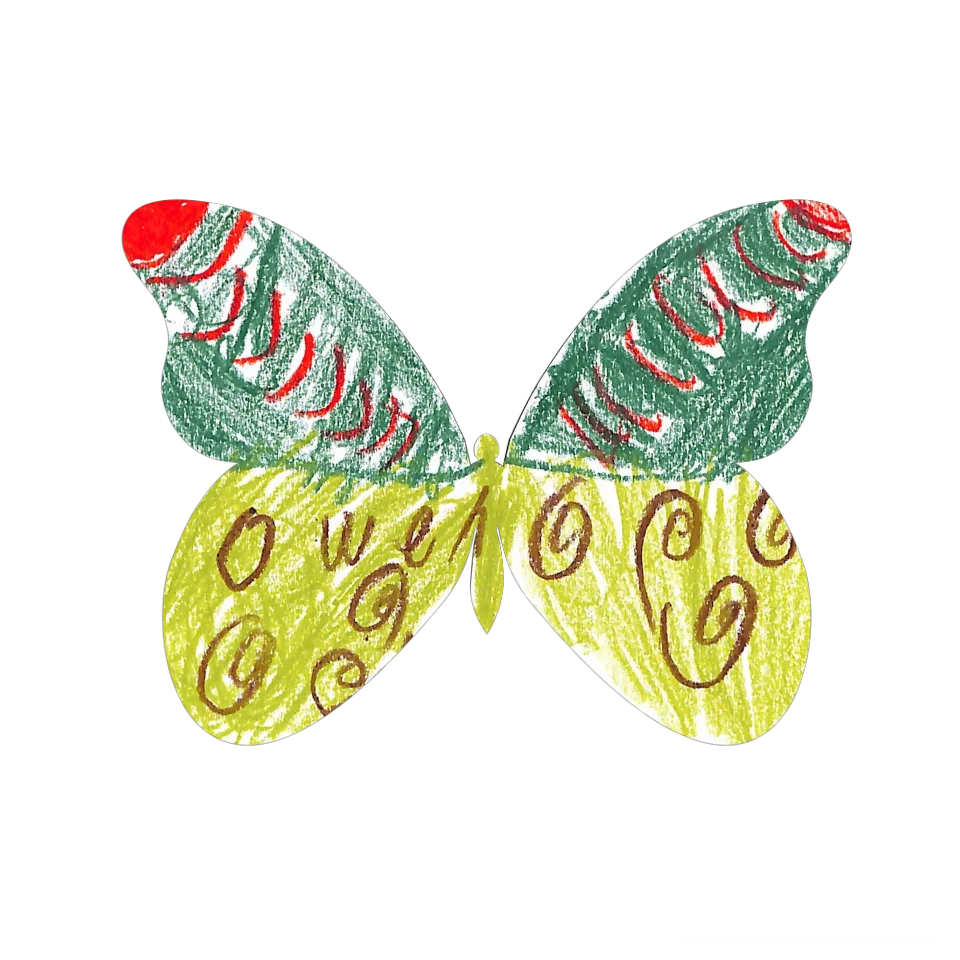 Original Butterfly Image