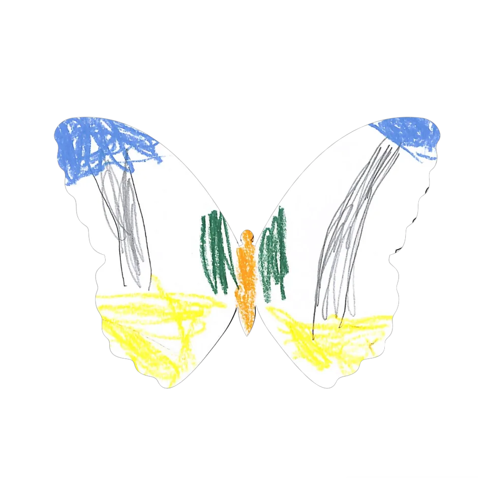 Original Butterfly Image