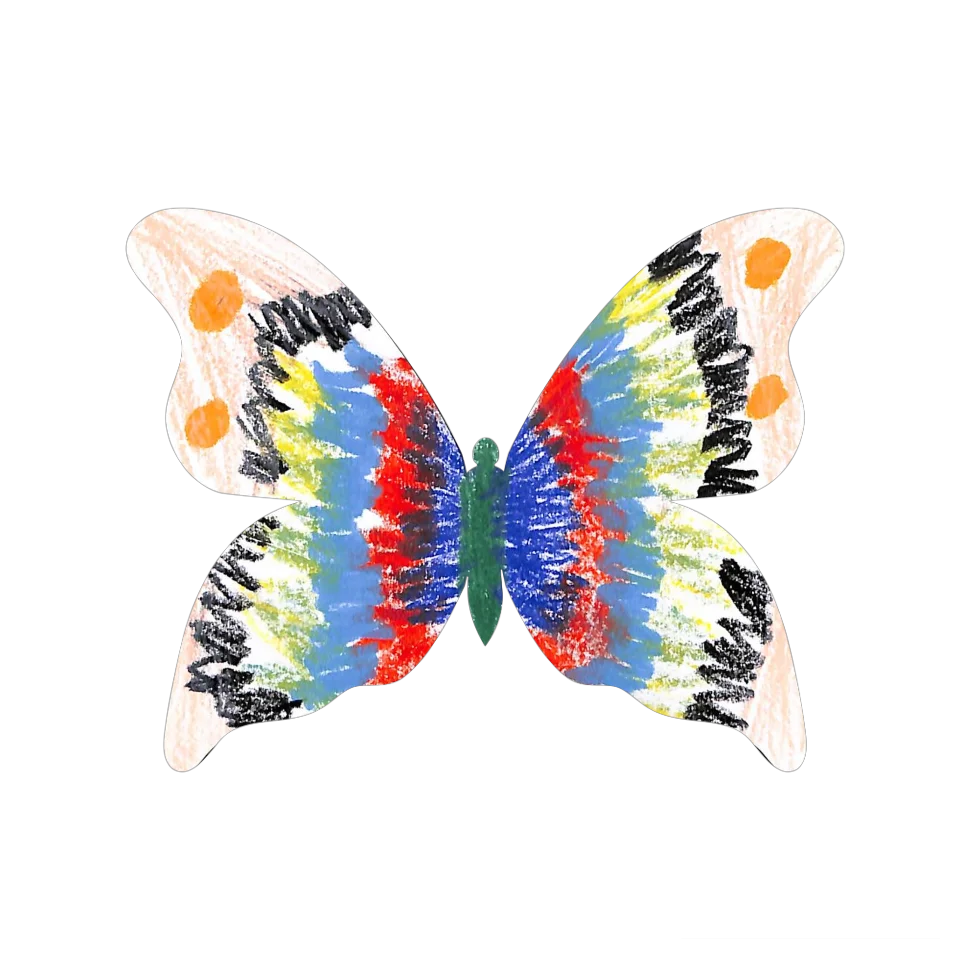 Original Butterfly Image
