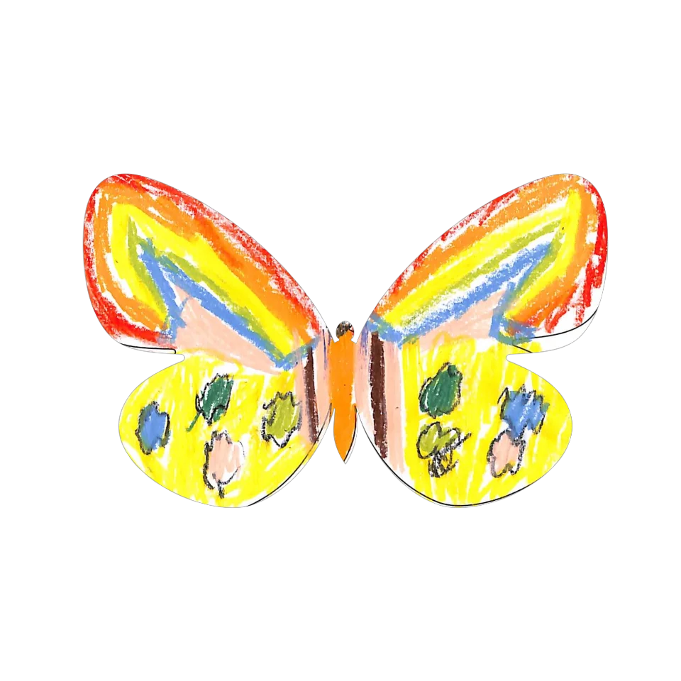 Original Butterfly Image