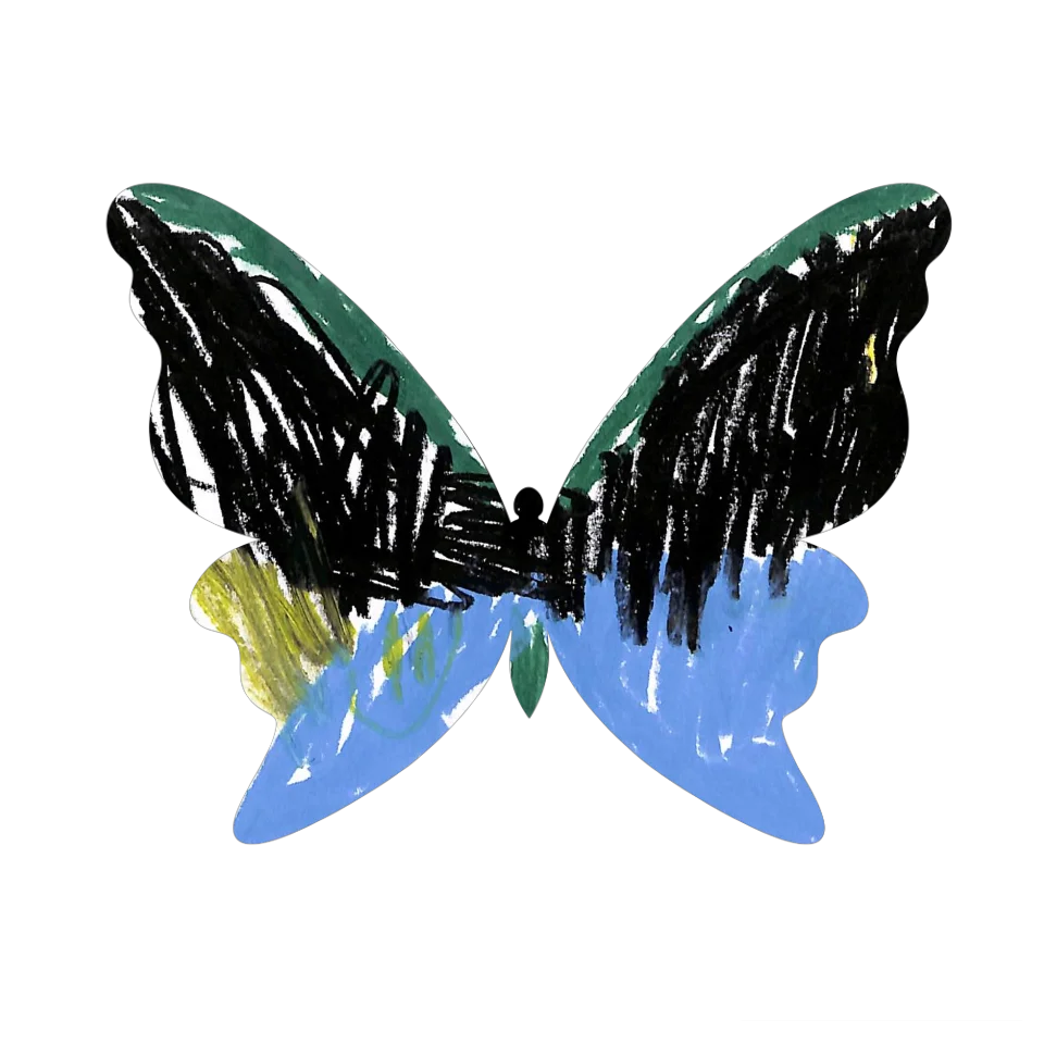 Original Butterfly Image
