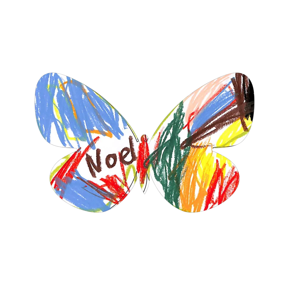 Original Butterfly Image