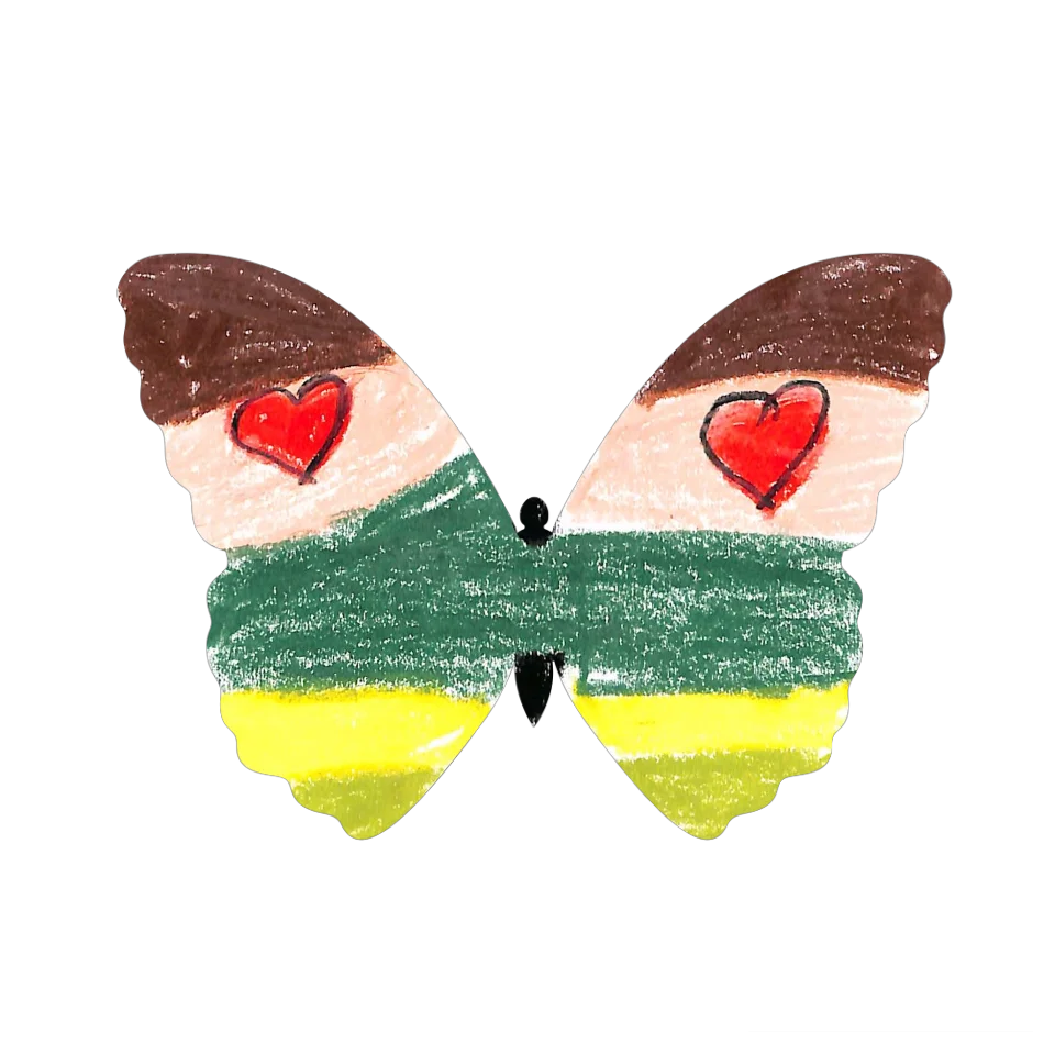 Original Butterfly Image