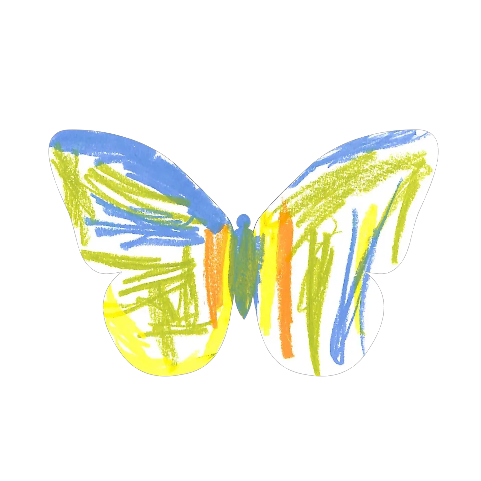 Original Butterfly Image