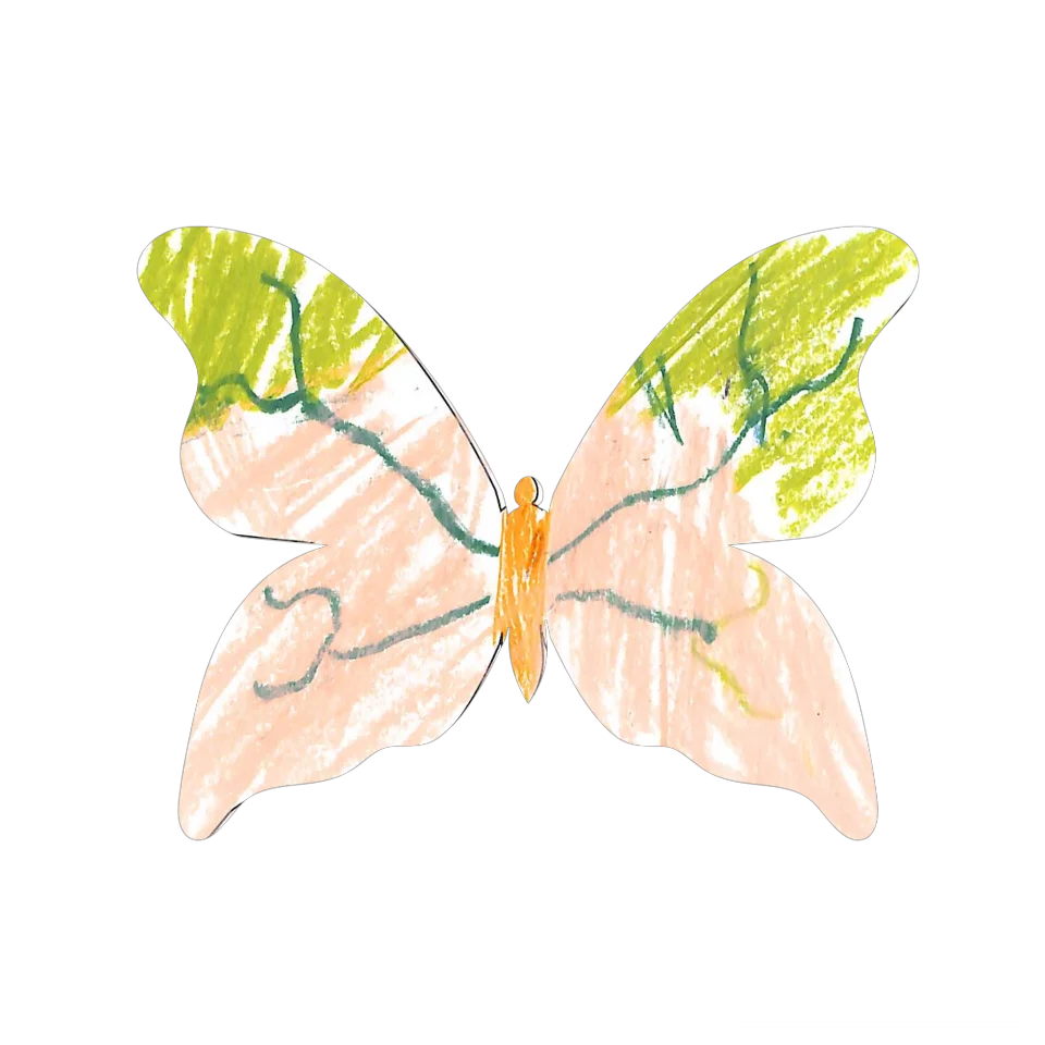 Original Butterfly Image