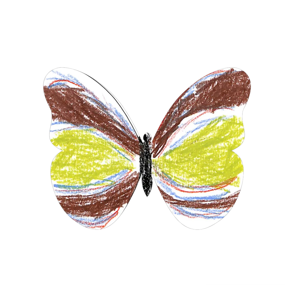 Original Butterfly Image
