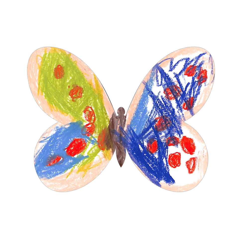 Original Butterfly Image