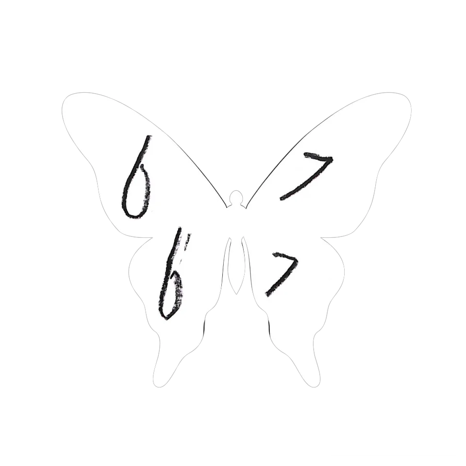Original Butterfly Image