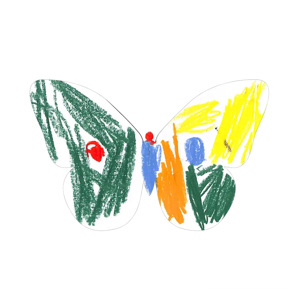 Original Butterfly Image