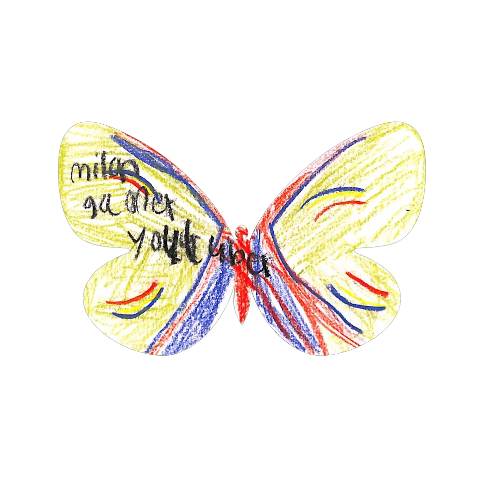 Original Butterfly Image