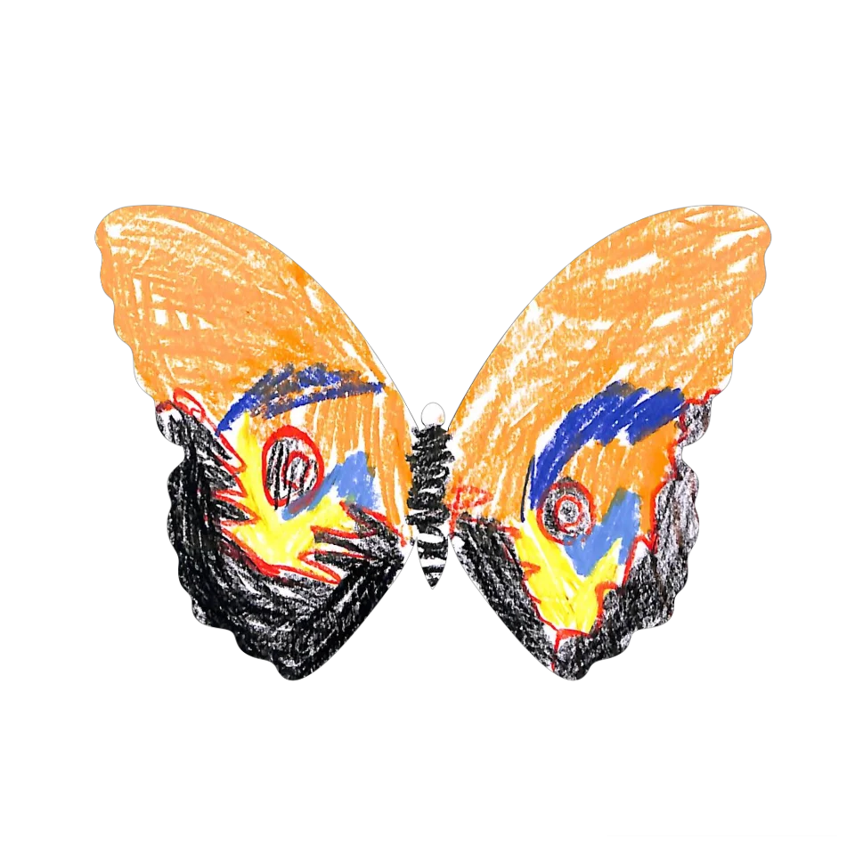 Original Butterfly Image