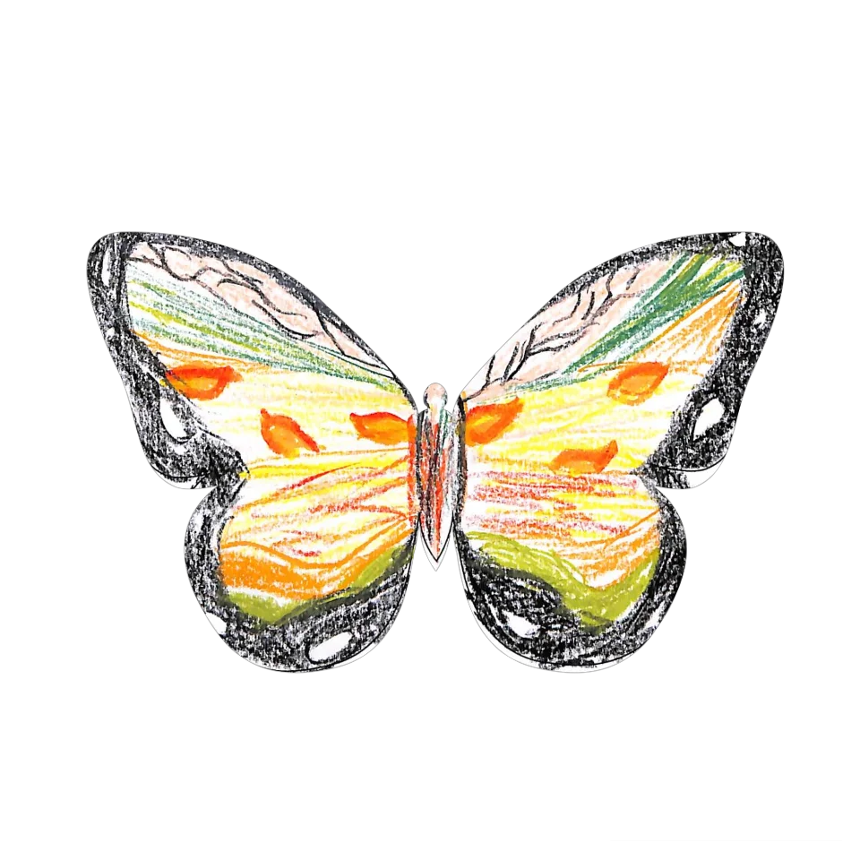 Original Butterfly Image