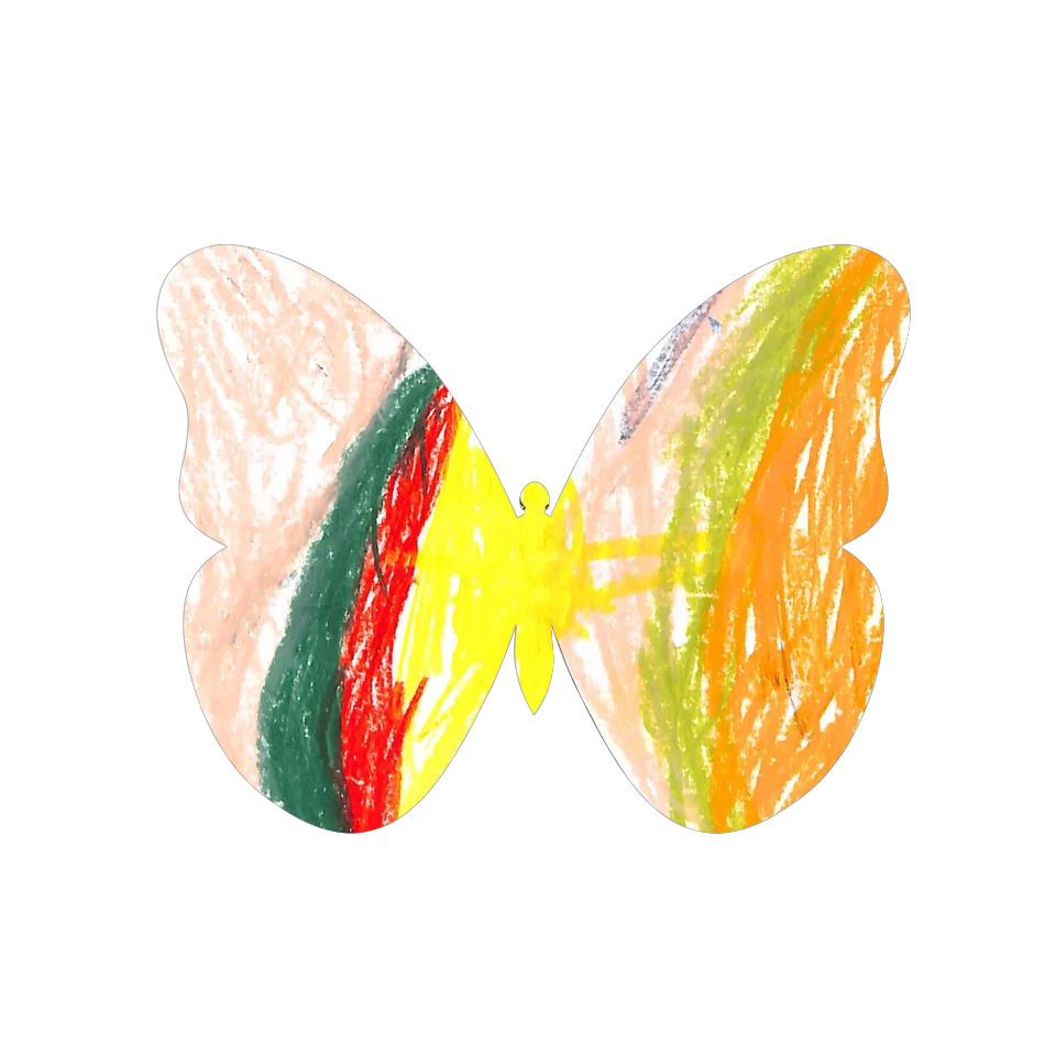 Original Butterfly Image
