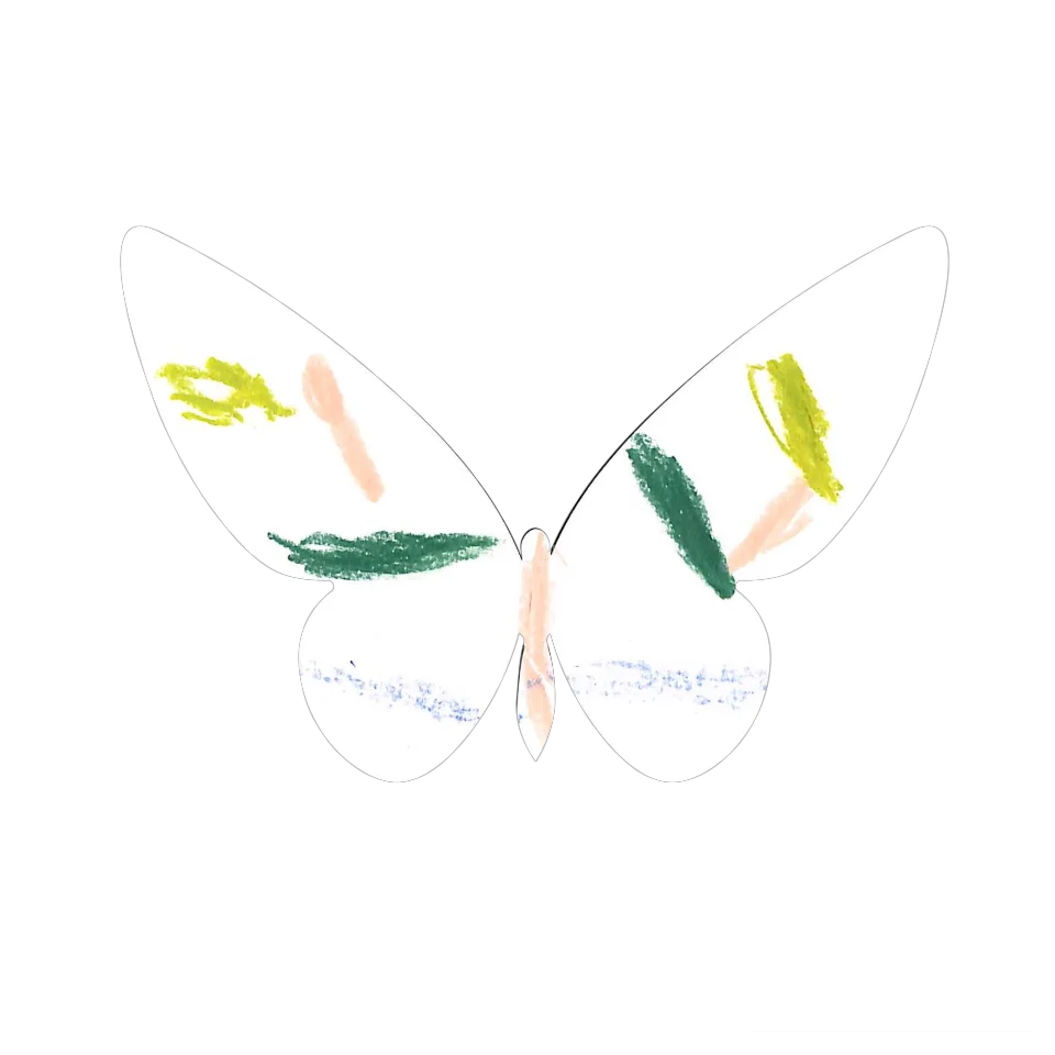Original Butterfly Image