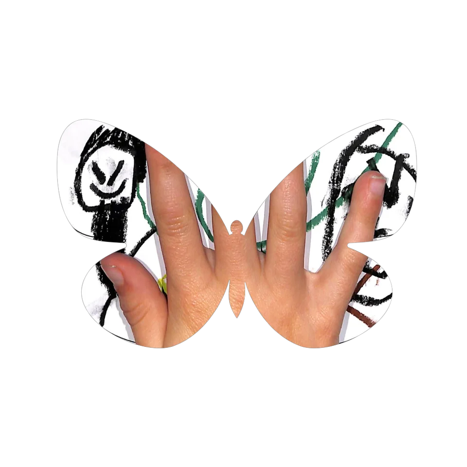 Original Butterfly Image