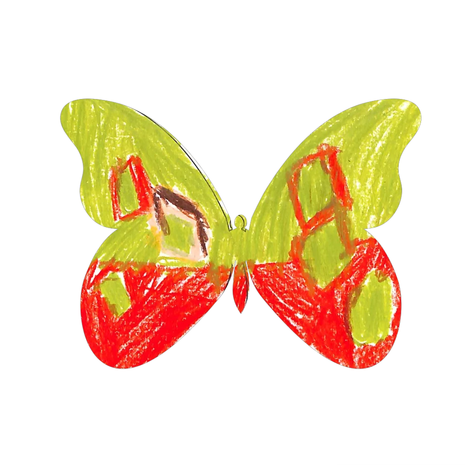 Original Butterfly Image