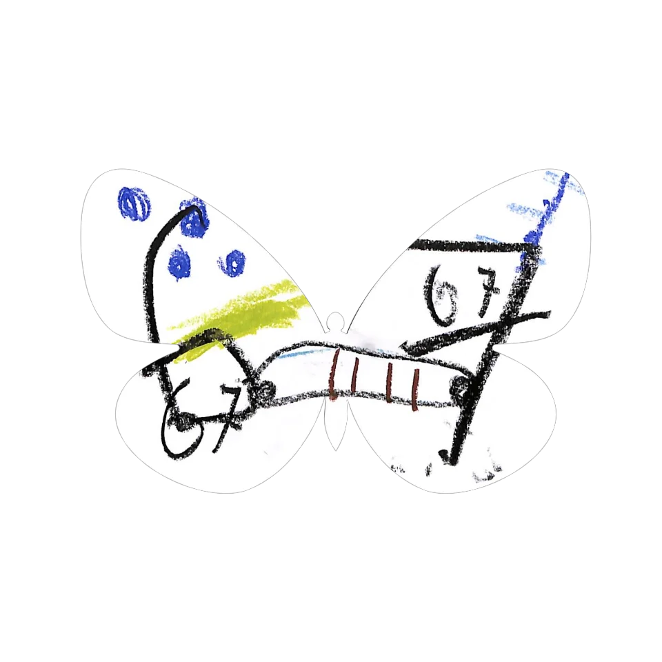 Original Butterfly Image