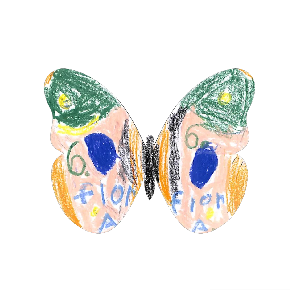 Original Butterfly Image